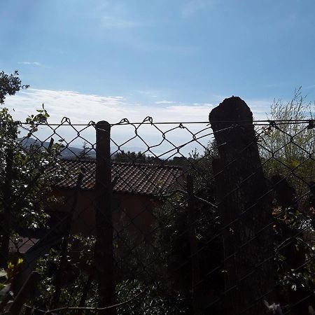 Villetta A Schiera Nei Pressi Del Mare 리보르노 외부 사진